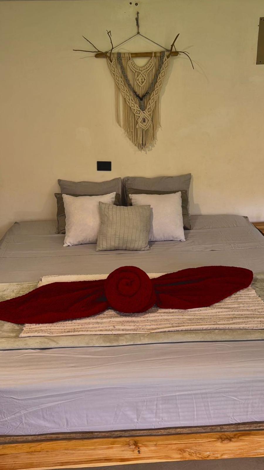 Apartament Deer House Cabuya Cabuya  Zewnętrze zdjęcie