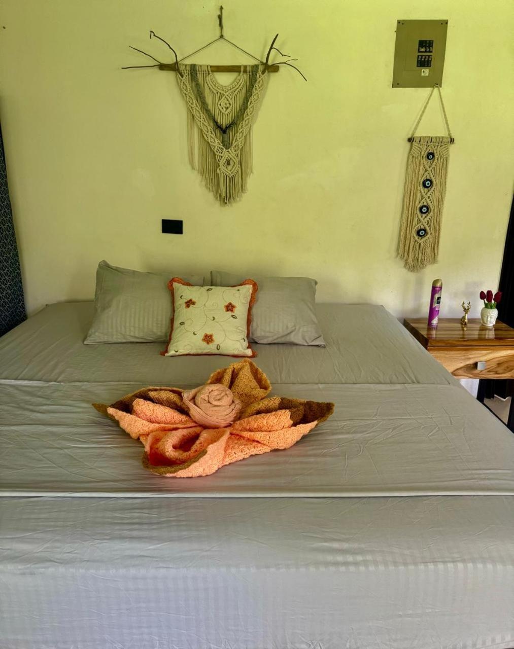 Apartament Deer House Cabuya Cabuya  Zewnętrze zdjęcie